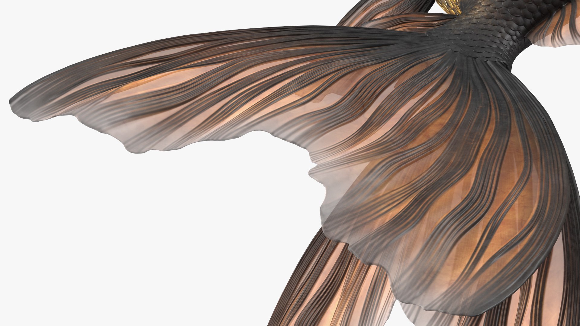 Black Moor Goldfish Rigged for Maya model https://p.turbosquid.com/ts-thumb/TN/I4akd6/HE/blackmoorgoldfishriggedc4dmodel026/jpg/1626292137/1920x1080/fit_q87/6b53738e1f790d94a9c5030dd1663521c723eca1/blackmoorgoldfishriggedc4dmodel026.jpg