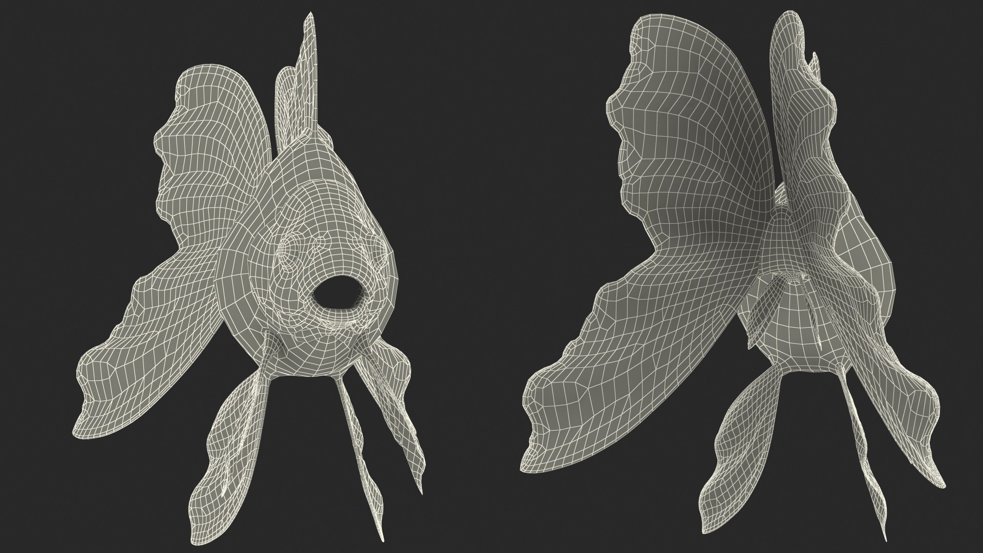 Black Moor Goldfish Rigged for Maya model https://p.turbosquid.com/ts-thumb/TN/I4akd6/a8/blackmoorgoldfishriggedc4dmodel034/jpg/1626292159/1920x1080/fit_q87/7e774aa5e25a07eda0c59138d9362192ce686233/blackmoorgoldfishriggedc4dmodel034.jpg