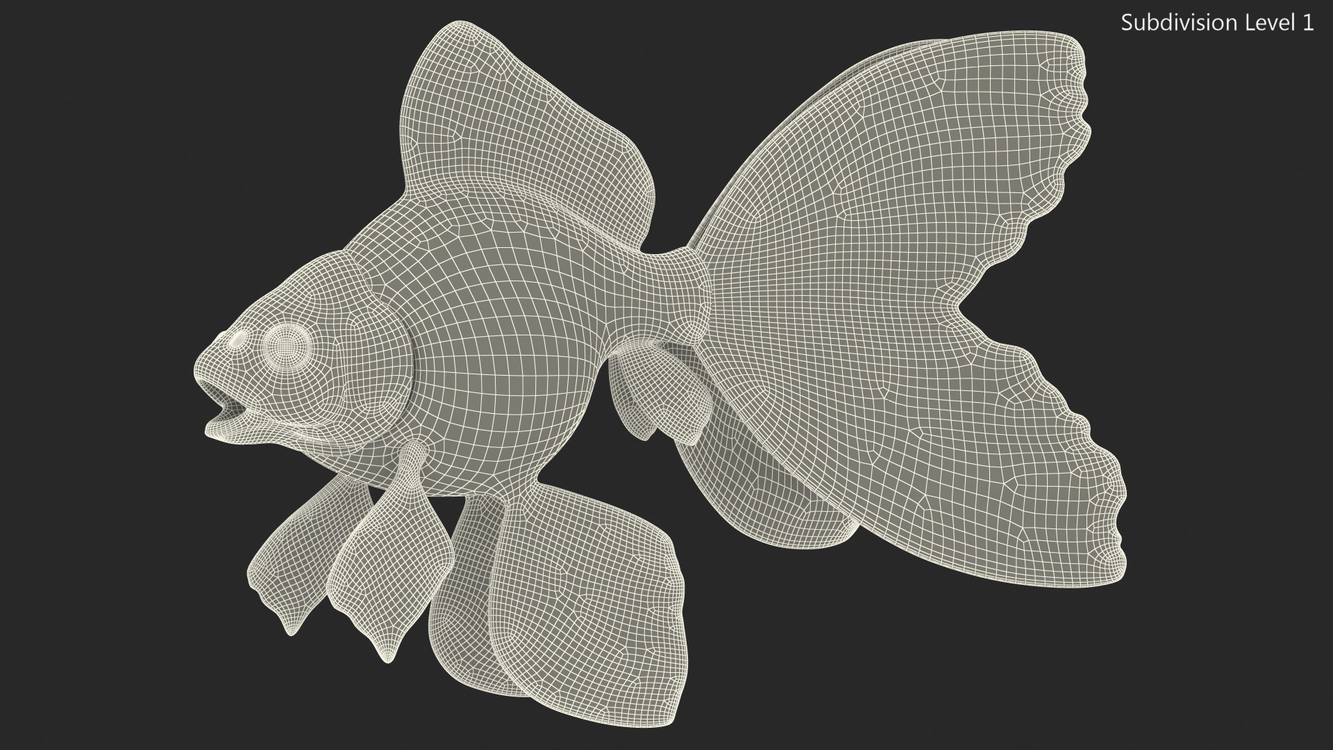 Black Moor Goldfish Rigged for Maya model https://p.turbosquid.com/ts-thumb/TN/I4akd6/eP/blackmoorgoldfishriggedc4dmodel030/jpg/1626292149/1920x1080/fit_q87/952c34773d16239a706bf85f49e2f05b15b18491/blackmoorgoldfishriggedc4dmodel030.jpg