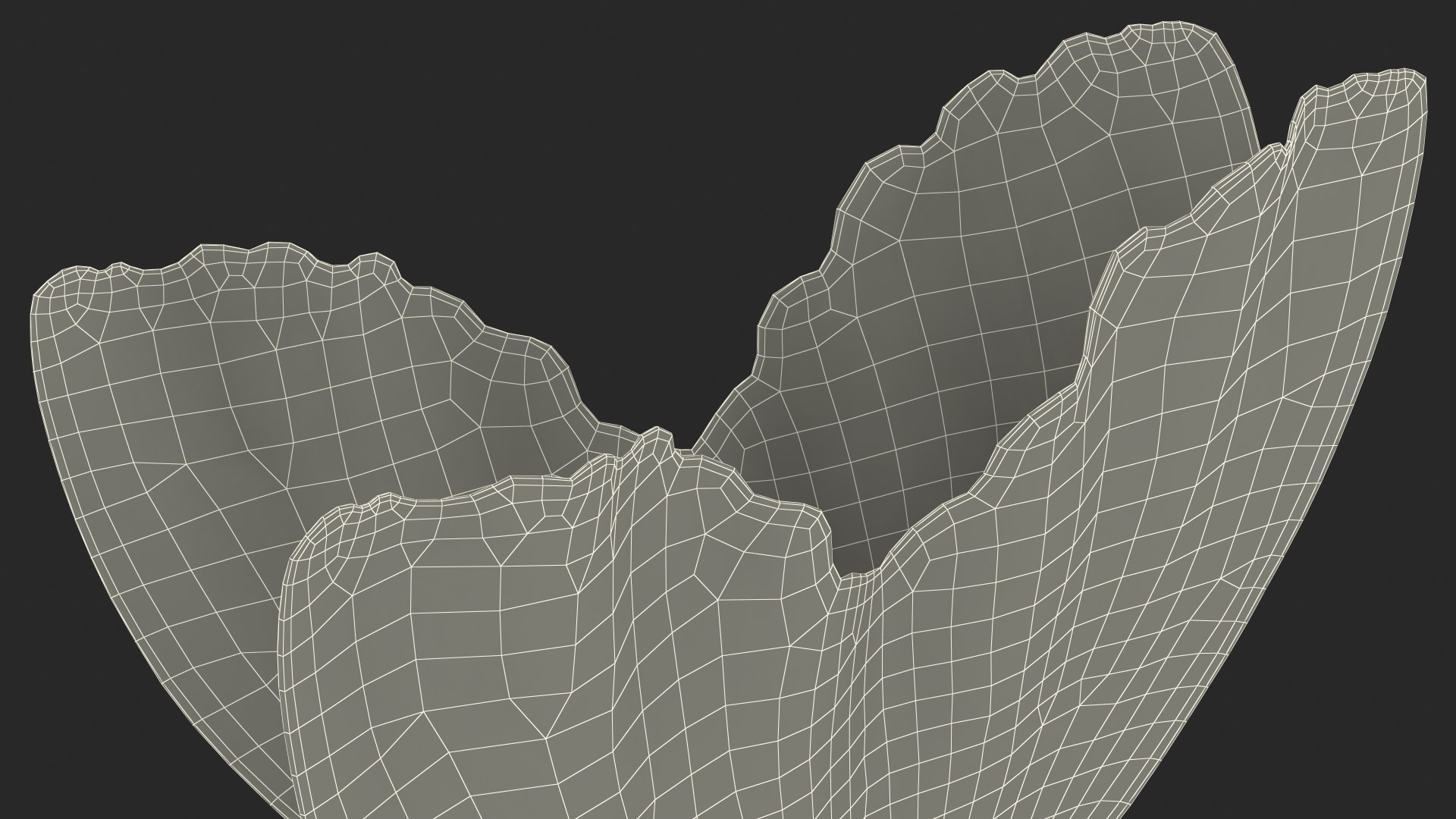 Black Moor Goldfish Rigged for Maya model https://p.turbosquid.com/ts-thumb/TN/I4akd6/ja/blackmoorgoldfishriggedc4dmodel039/jpg/1626292171/1920x1080/fit_q87/65c561890b04363bb974ce43d816f8115f0ea914/blackmoorgoldfishriggedc4dmodel039.jpg