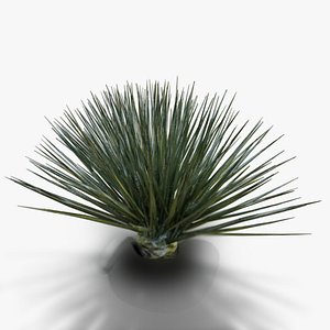 Desert Spike Plant game-ready 3D