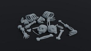 3D Low-poly Cartoon bone asset Polygonal