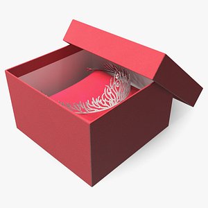 Silver Tiara in Jewelry Case on Velvet Cushion