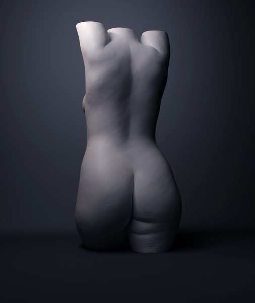 female torso model