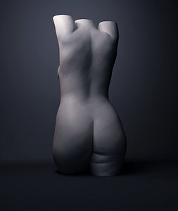 Female torso - 3D printable