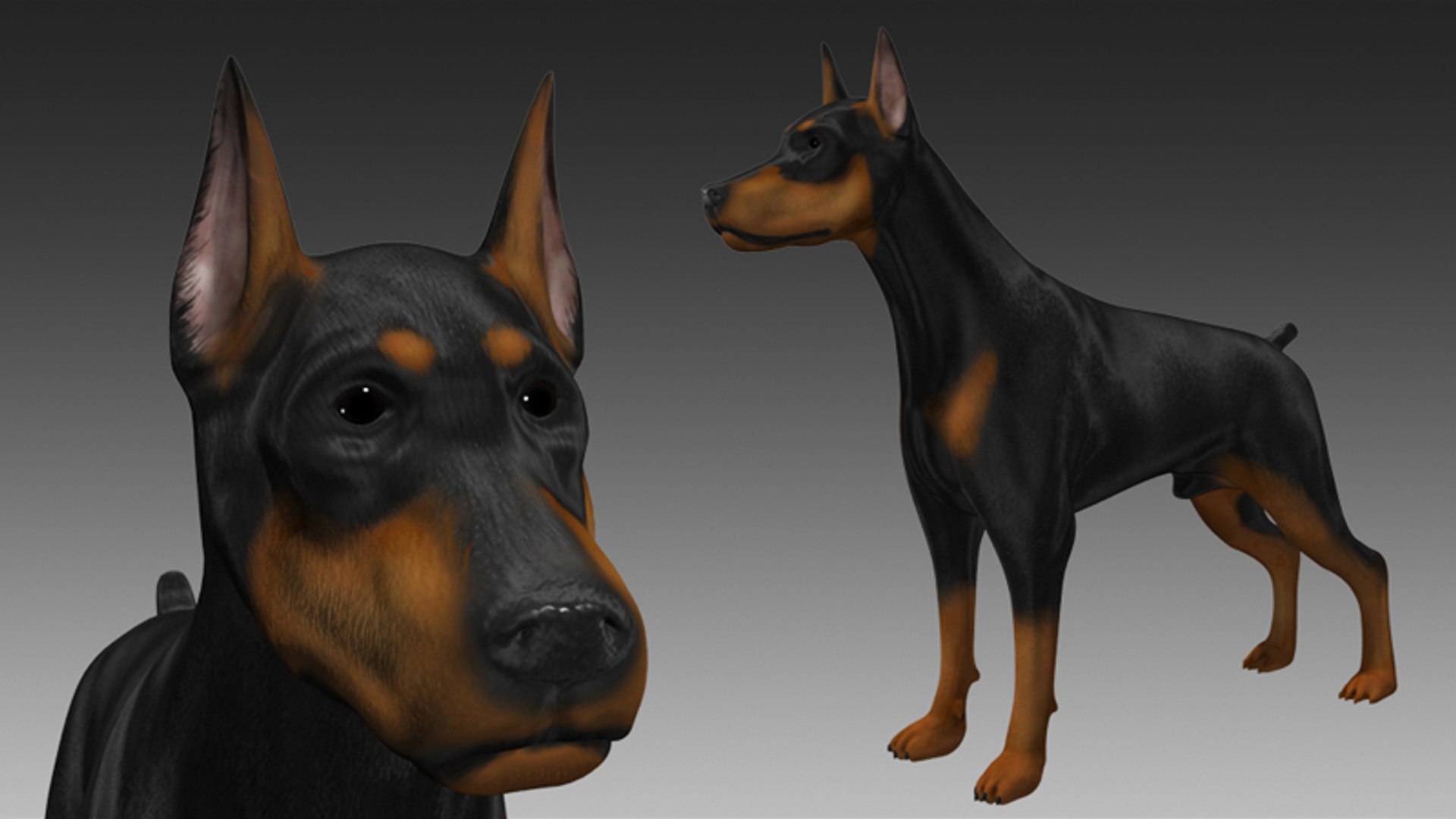 3d dog canine model https://p.turbosquid.com/ts-thumb/TN/gnM1ls/1ykkXWLl/15677459641/png/1567746297/1920x1080/fit_q87/9566bd80ed6816163bf946ebefee3e1662b98506/15677459641.jpg