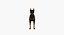 Pinscher do Doberman