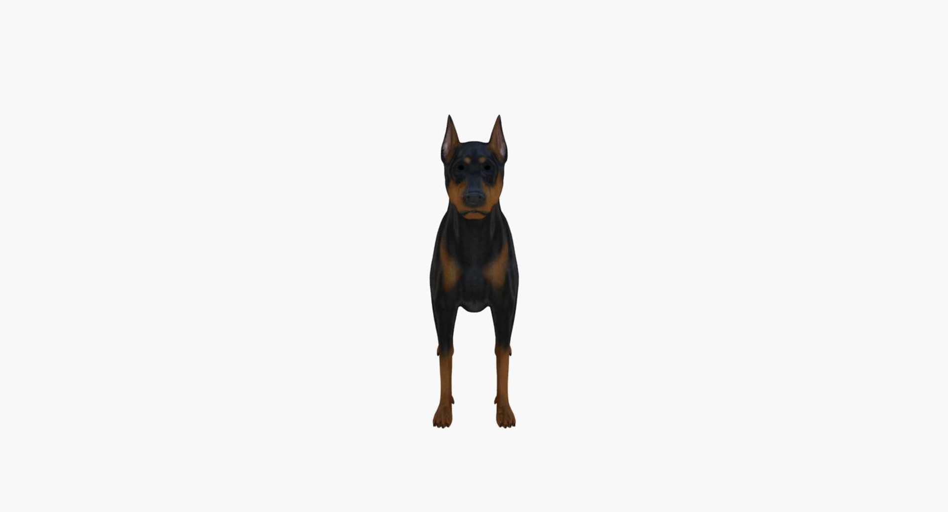 3d dog canine model https://p.turbosquid.com/ts-thumb/TN/gnM1ls/HJWSJ6qc/image/jpg/1458035211/1920x1080/turn_fit_q99/3761e2a904be7a15fcc984fc96ca7601d5066c17/image-1.jpg