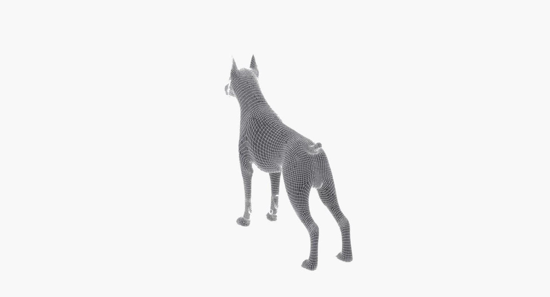 3d dog canine model https://p.turbosquid.com/ts-thumb/TN/gnM1ls/WaQNwbHq/wireframe_15_006/jpg/1458035138/1920x1080/fit_q87/b91555d0bbe6956008c0b94fa8b1799b52685ac0/wireframe_15_006.jpg