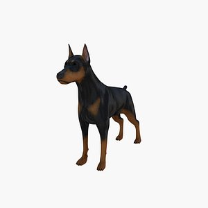 Doberman Pinscher
