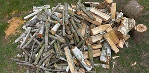 3D Pile of wood fire chips model