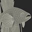 Betta Fish uzbrojona dla Cinema 4D