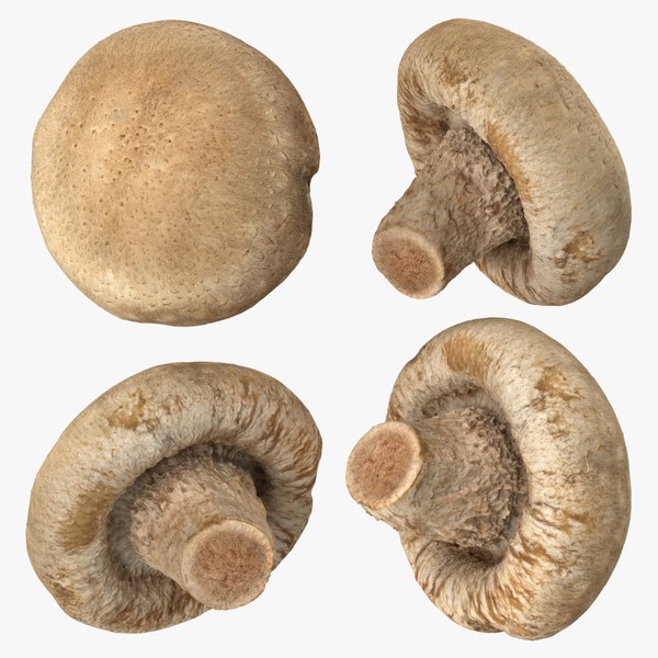 They Requested 100 Specialists About Shiitake Mushroom Extract Supplier. One Reply Stood Out