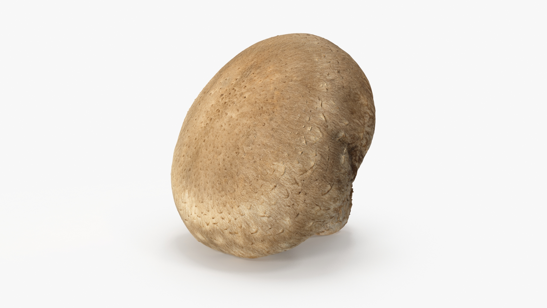 3D Shiitake Mushroom 3 - TurboSquid 2089748