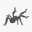 Robo Spider