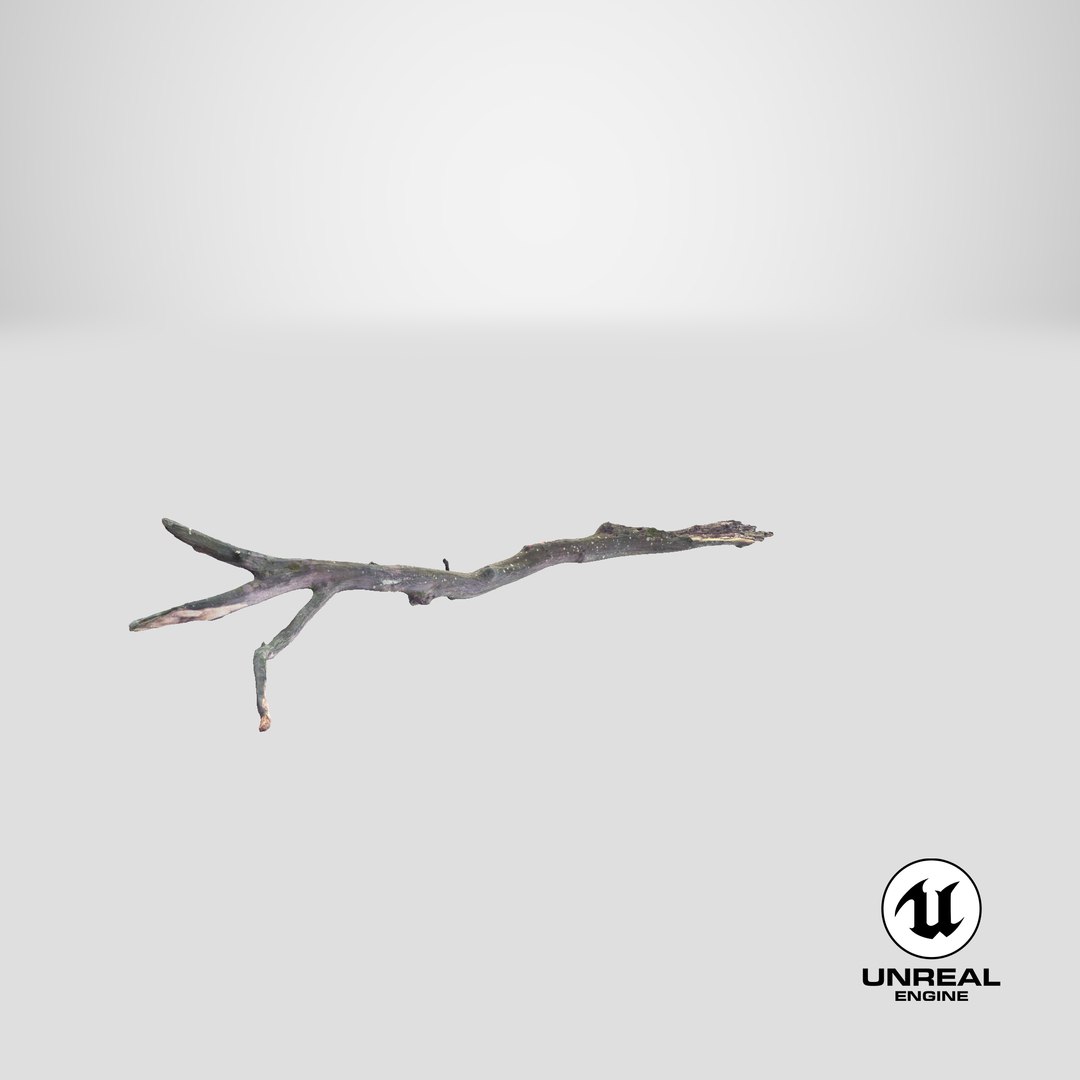 Fallen Branch 03 3D model https://p.turbosquid.com/ts-thumb/TO/XYV4nk/As/stemcell_unreal_render/png/1651760917/1920x1080/fit_q87/2d4bf545736fb0415294e256c8bbb142317784da/stemcell_unreal_render.jpg