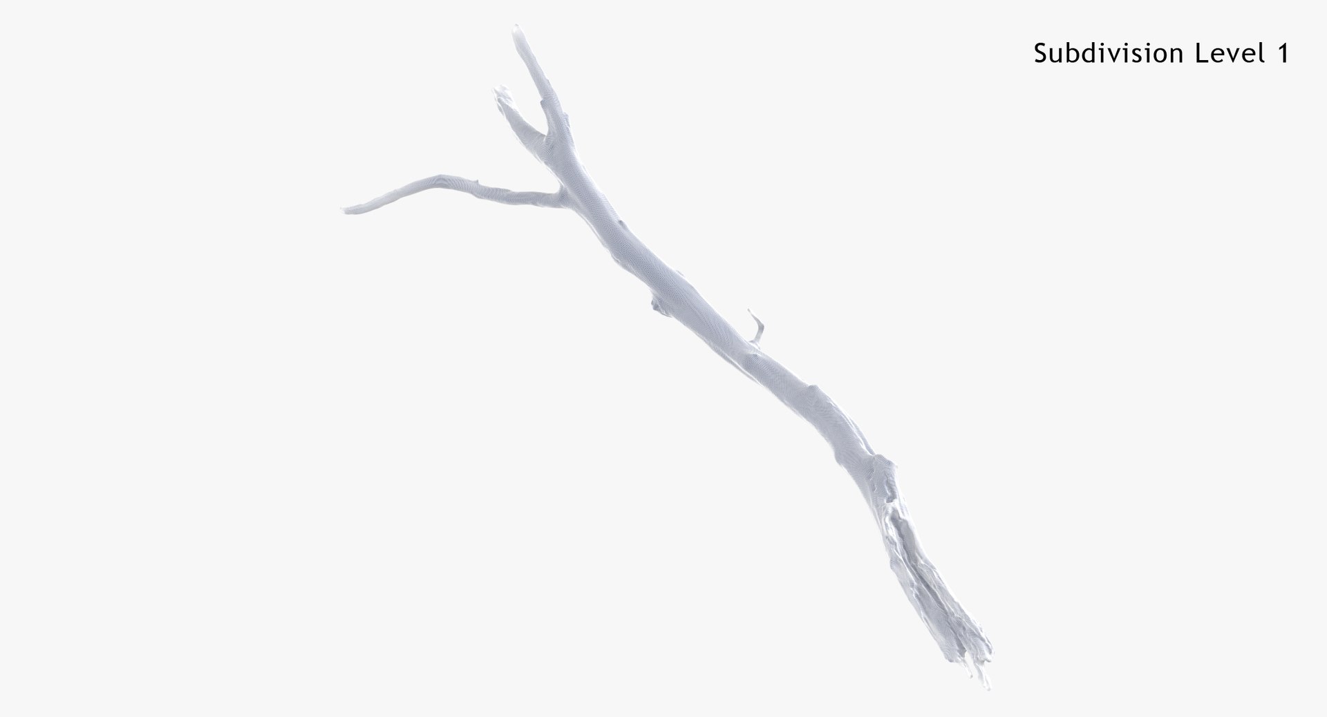 Fallen Branch 03 3D model https://p.turbosquid.com/ts-thumb/TO/XYV4nk/Bi/fallen_branch_03_subdiv1_0001/jpg/1647449992/1920x1080/fit_q87/248e76b13479dfa1e3a3e96377a3b2455c44239c/fallen_branch_03_subdiv1_0001.jpg