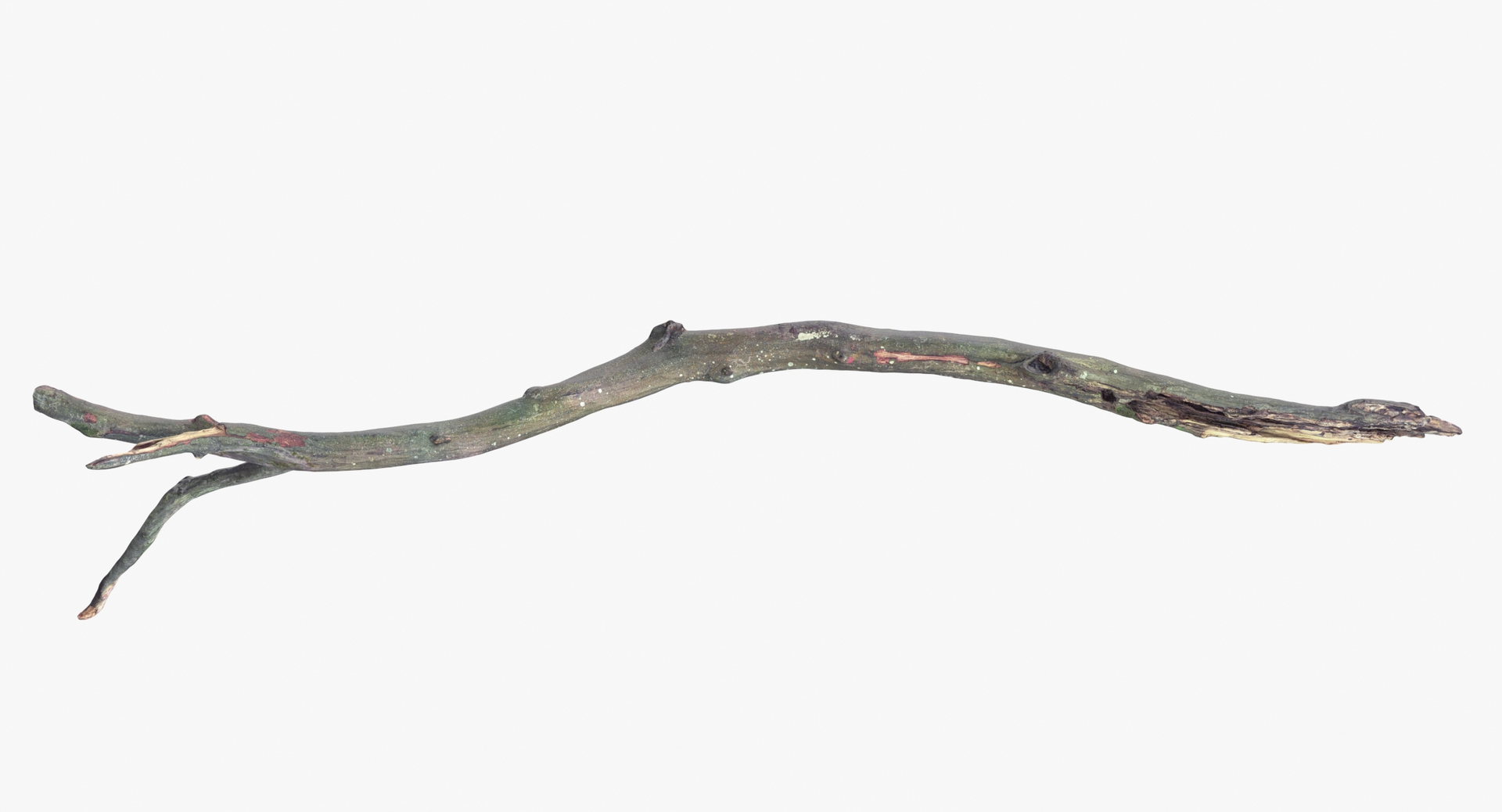 Fallen Branch 03 3D model https://p.turbosquid.com/ts-thumb/TO/XYV4nk/MJ/0000/jpg/1647449864/1920x1080/turn_fit_q99/205a2fd27434644e79469e0cc6f69738d8500bce/0000-1.jpg