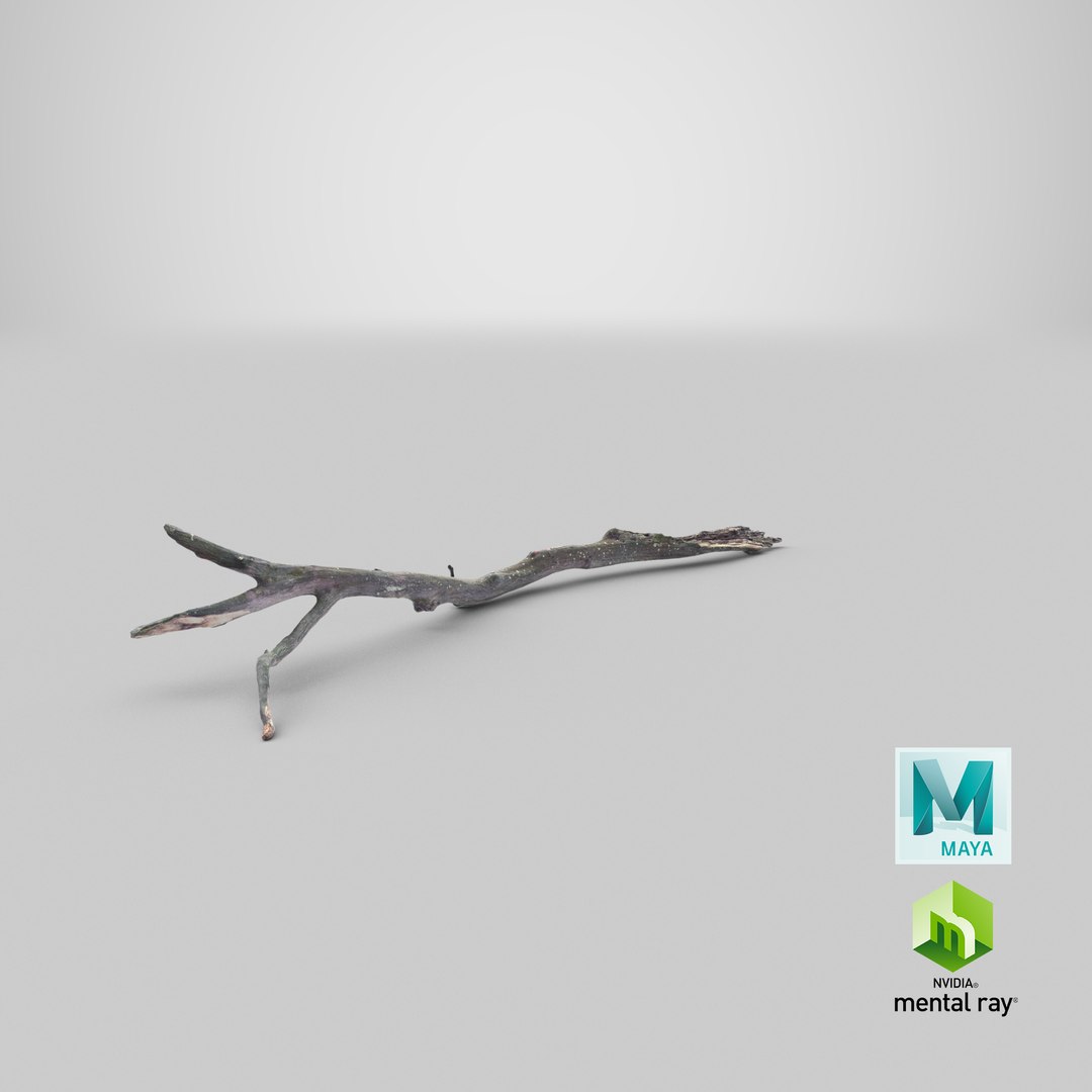 Fallen Branch 03 3D model https://p.turbosquid.com/ts-thumb/TO/XYV4nk/RY/stemcell_maya_mental_ray_render/png/1651760925/1920x1080/fit_q87/71fc2216a79413e7dbace49f835d71289d48170e/stemcell_maya_mental_ray_render.jpg