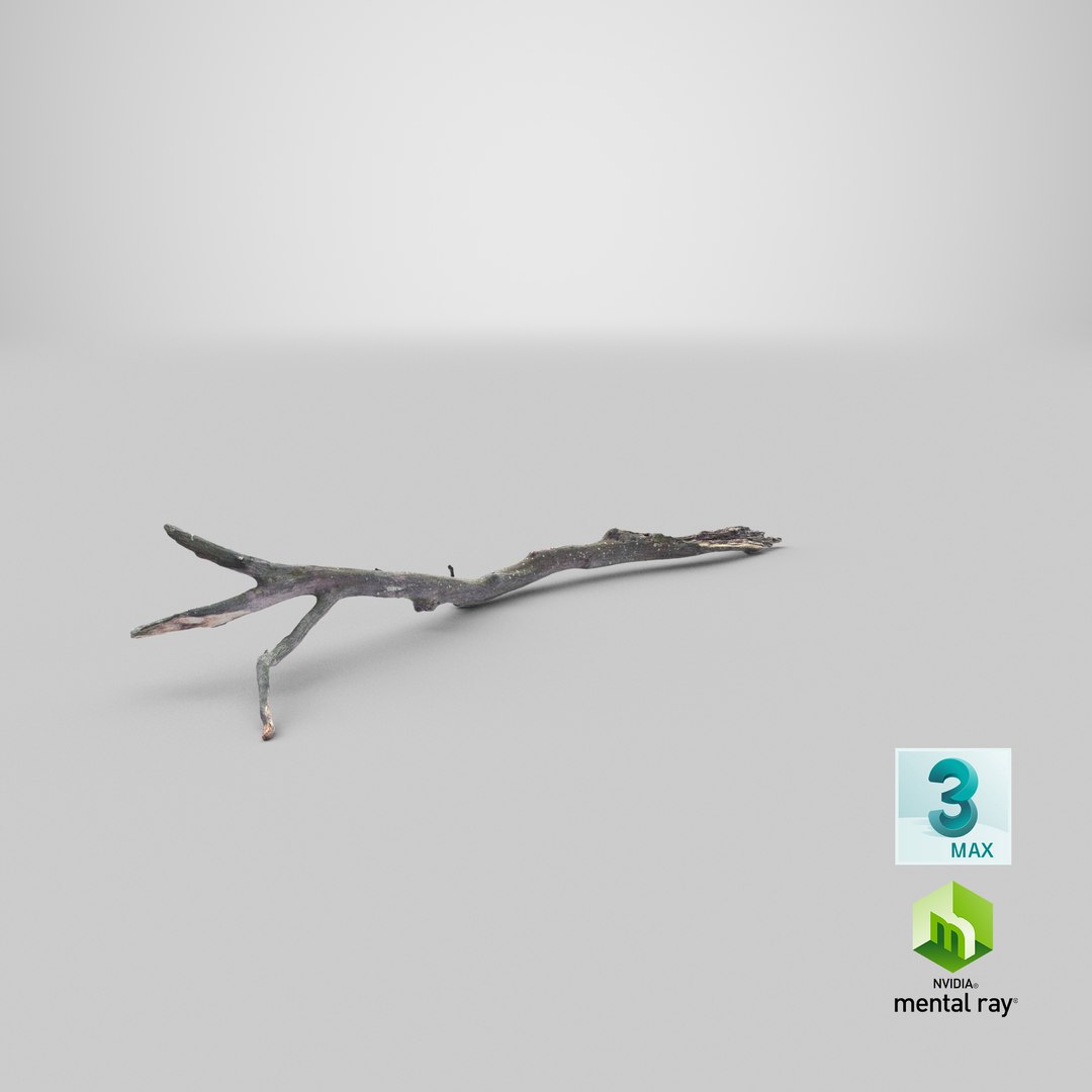 Fallen Branch 03 3D model https://p.turbosquid.com/ts-thumb/TO/XYV4nk/eb/stemcell_max_mental_ray_render/png/1651760920/1920x1080/fit_q87/45c06a97e0407949ac56f5556efb9dcbfcf8c461/stemcell_max_mental_ray_render.jpg