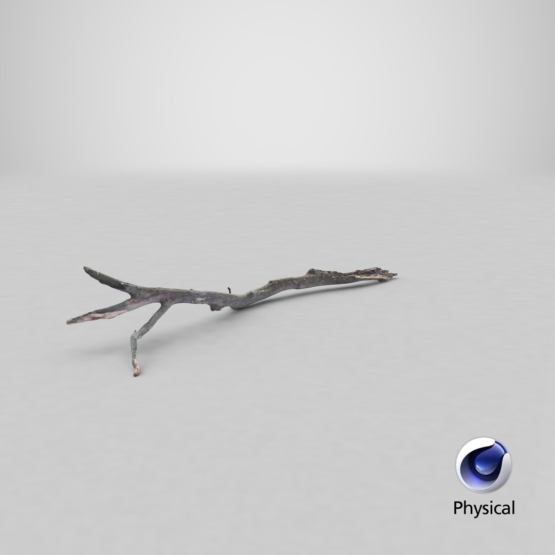 Fallen Branch 03 3D model https://p.turbosquid.com/ts-thumb/TO/XYV4nk/lA/stemcell_cinema_4d_physical_render/png/1651760913/1920x1080/fit_q87/a7d648f09bd37c06400e9bae7f19ab78e826748b/stemcell_cinema_4d_physical_render.jpg