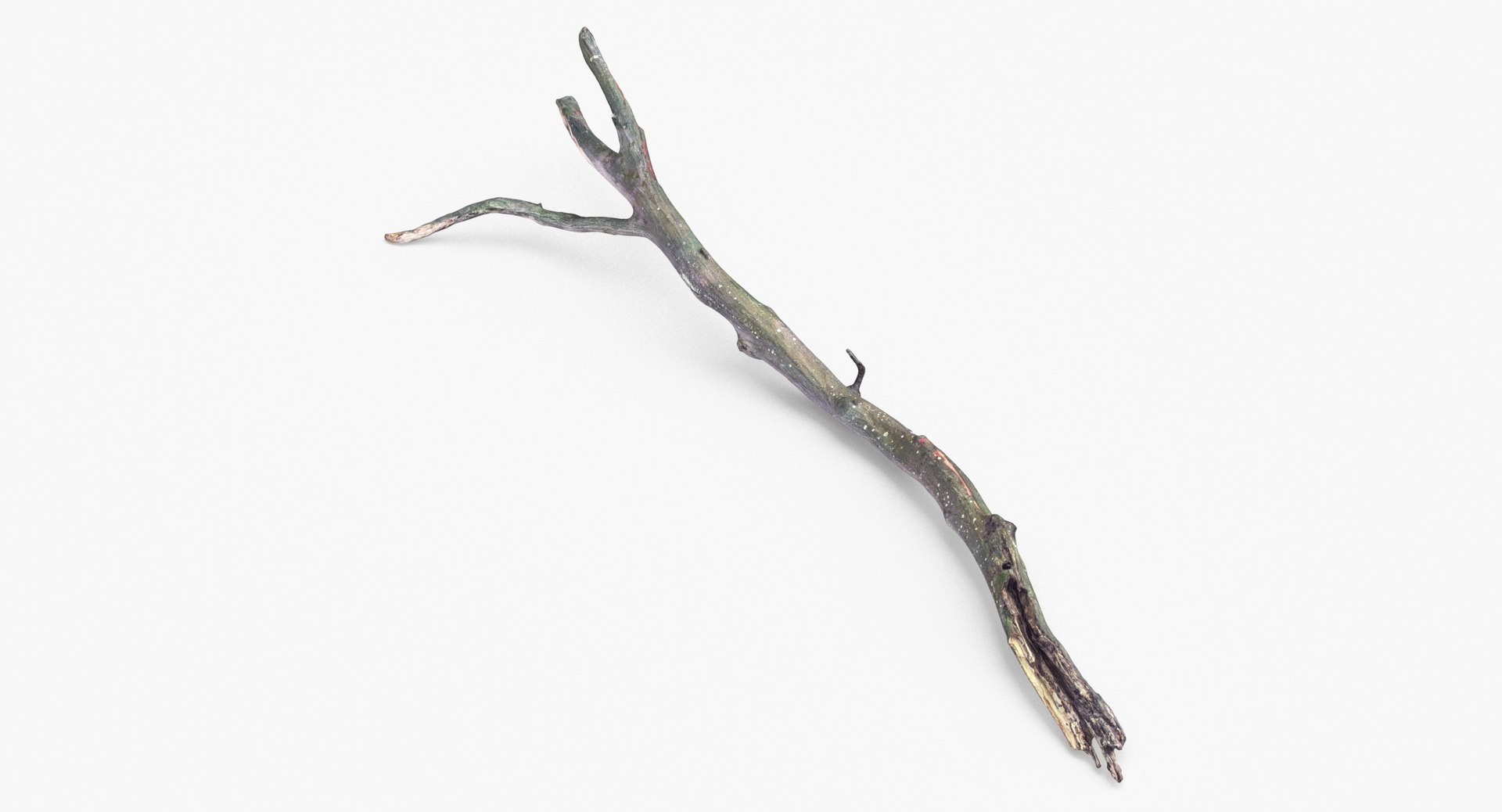 Fallen Branch 03 3D model https://p.turbosquid.com/ts-thumb/TO/XYV4nk/zQ/fallen_branch_03_thumbnail_0001/jpg/1647449860/1920x1080/fit_q87/26c006ed37ccea9d3a331d39e398ad2e9510a452/fallen_branch_03_thumbnail_0001.jpg