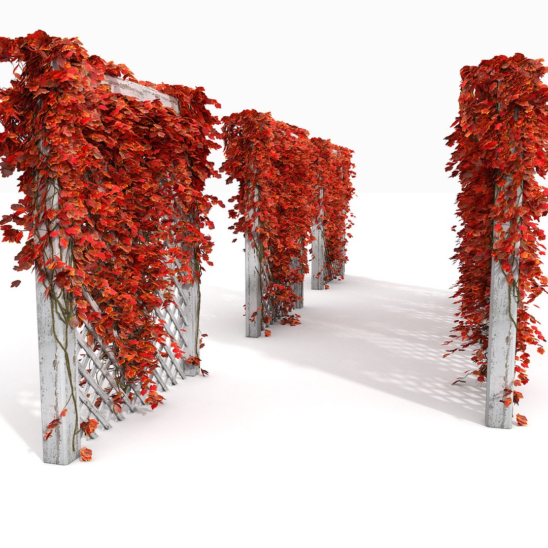 3d wood garden https://p.turbosquid.com/ts-thumb/TO/Zoct8m/47jtJsuV/red_ivyfence__camera02_red_ivy_fence_2/jpg/1386545309/1920x1080/fit_q87/c59505170b038ee4c8b52f37eb2ed619c271ce70/red_ivyfence__camera02_red_ivy_fence_2.jpg