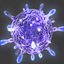 Virus