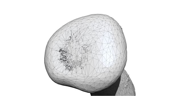 Eringi mushroom 2 3D CT scan model decimate 5 percent 3D model ...