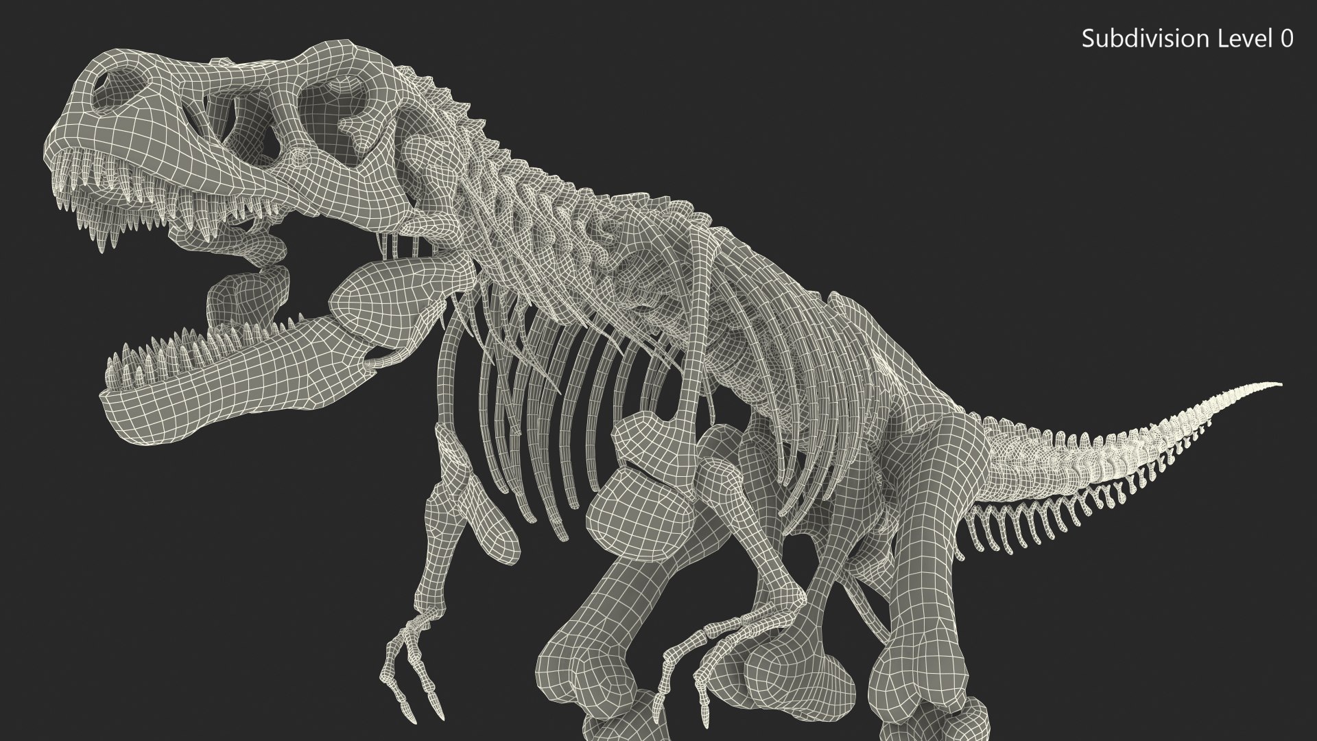 tyrannosaurus rex skeleton dinosaur 3D model https://p.turbosquid.com/ts-thumb/TO/jGT9rI/1dH3b512/tyrannosaurusrexskeletonrigged3dmodel016/jpg/1576151332/1920x1080/fit_q87/96b094851f7f667aa32a741e61c61218b91f77ec/tyrannosaurusrexskeletonrigged3dmodel016.jpg