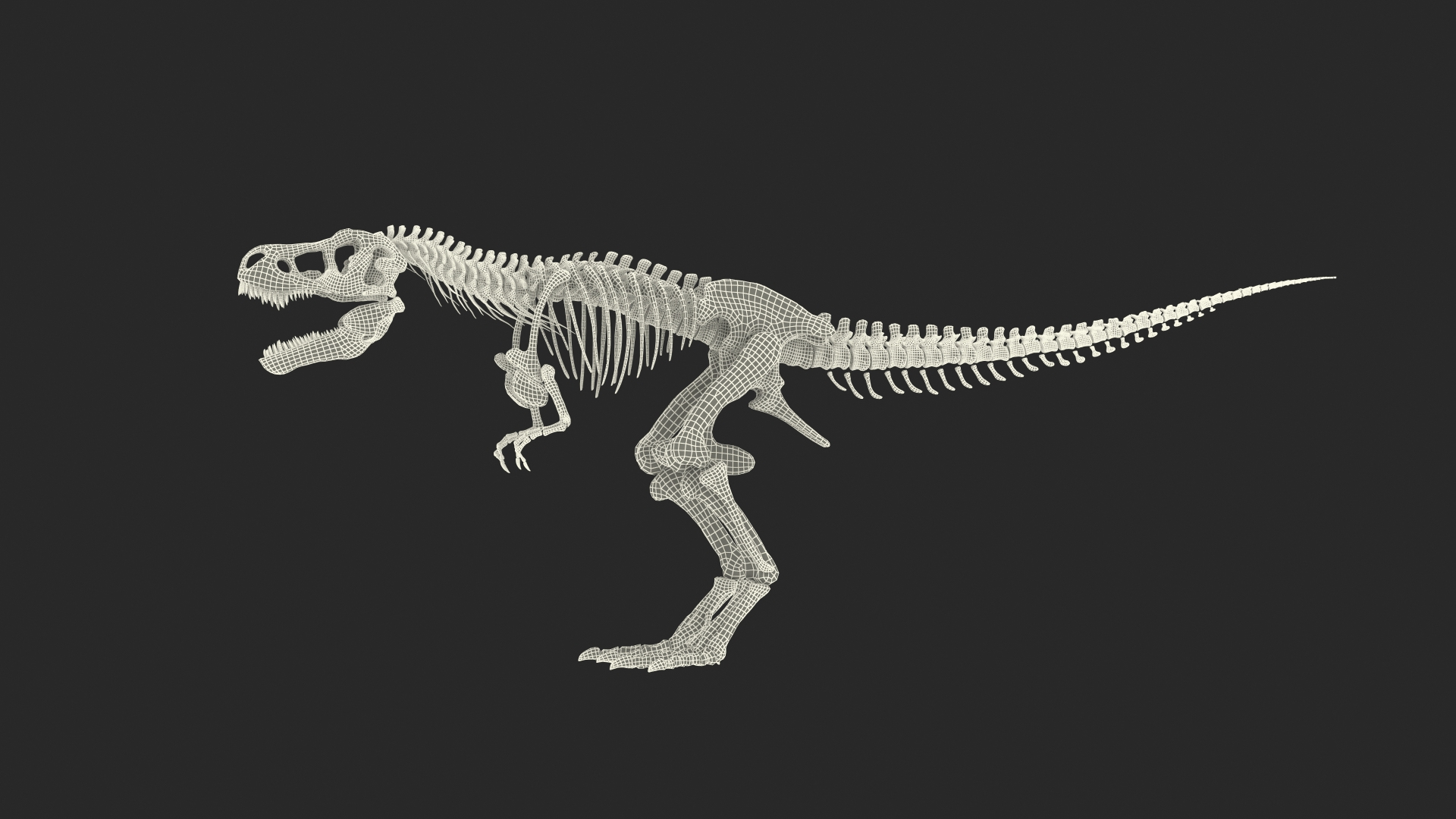 tyrannosaurus rex skeleton dinosaur 3D model https://p.turbosquid.com/ts-thumb/TO/jGT9rI/DInlT9T5/tyrannosaurus_rex_skeleton_rigged_361/jpg/1576151192/1920x1080/turn_fit_q99/69bf32539b67f3f3f2936f5eb20a63c2f7cbeda1/tyrannosaurus_rex_skeleton_rigged_361-1.jpg