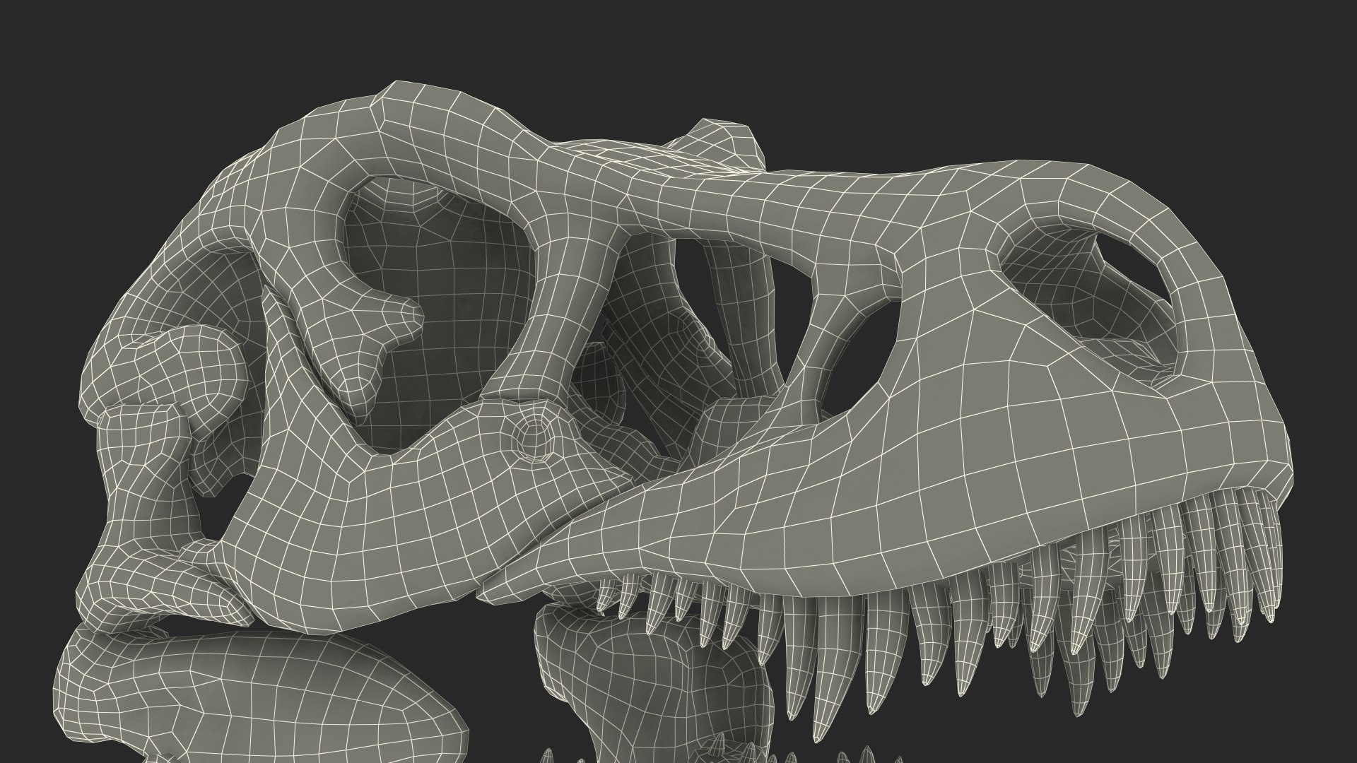 tyrannosaurus rex skeleton dinosaur 3D model https://p.turbosquid.com/ts-thumb/TO/jGT9rI/SEzxYyps/tyrannosaurusrexskeletonrigged3dmodel027/jpg/1576151332/1920x1080/fit_q87/6bd9462d71948d2b0318b5fc67b2bd4a1af1057f/tyrannosaurusrexskeletonrigged3dmodel027.jpg