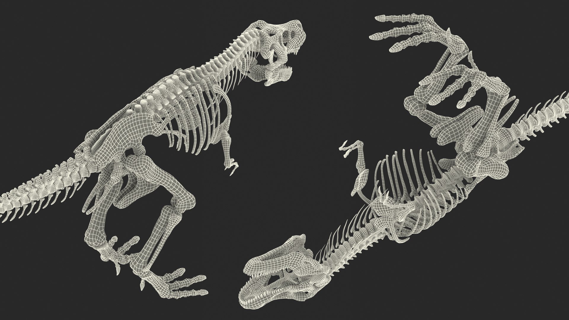 tyrannosaurus rex skeleton dinosaur 3D model https://p.turbosquid.com/ts-thumb/TO/jGT9rI/Ucv0Agym/tyrannosaurusrexskeletonrigged3dmodel023/jpg/1576151332/1920x1080/fit_q87/6a751ed73913a3b0040aa12362adb6b336f738d8/tyrannosaurusrexskeletonrigged3dmodel023.jpg