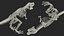 Tyrannosaurus Rex Skeleton Rigged for Maya
