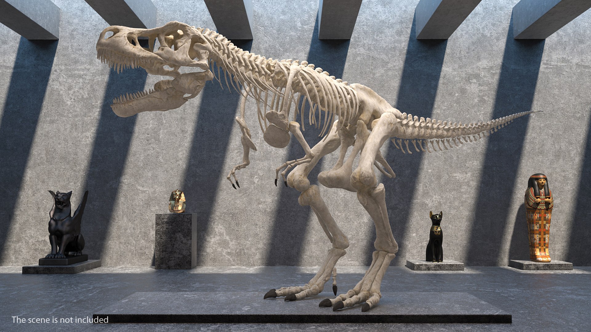 tyrannosaurus rex skeleton dinosaur 3D model https://p.turbosquid.com/ts-thumb/TO/jGT9rI/VYz6kaVM/tyrannosaurusrexskeletonrigged3dmodel003/jpg/1576151332/1920x1080/fit_q87/0150ce177798d986397d05ed94273662c7bc882c/tyrannosaurusrexskeletonrigged3dmodel003.jpg