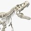 Tyrannosaurus Rex Skeleton Rigged for Maya