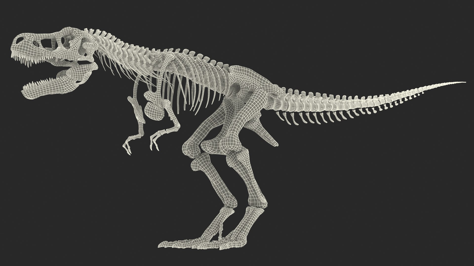 tyrannosaurus rex skeleton dinosaur 3D model https://p.turbosquid.com/ts-thumb/TO/jGT9rI/aucxwM5E/tyrannosaurusrexskeletonrigged3dmodel021/jpg/1576151332/1920x1080/fit_q87/b0a35c79a8c1585c90015ea76845662e70778480/tyrannosaurusrexskeletonrigged3dmodel021.jpg