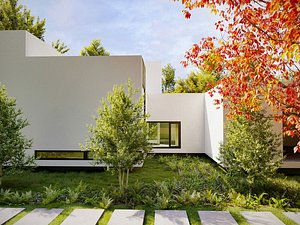 American European Tree - Include GrowFX and Mesh file