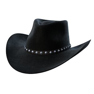 Cowboy Hat