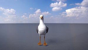 SeaGull model