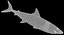 Fish X1 Shark