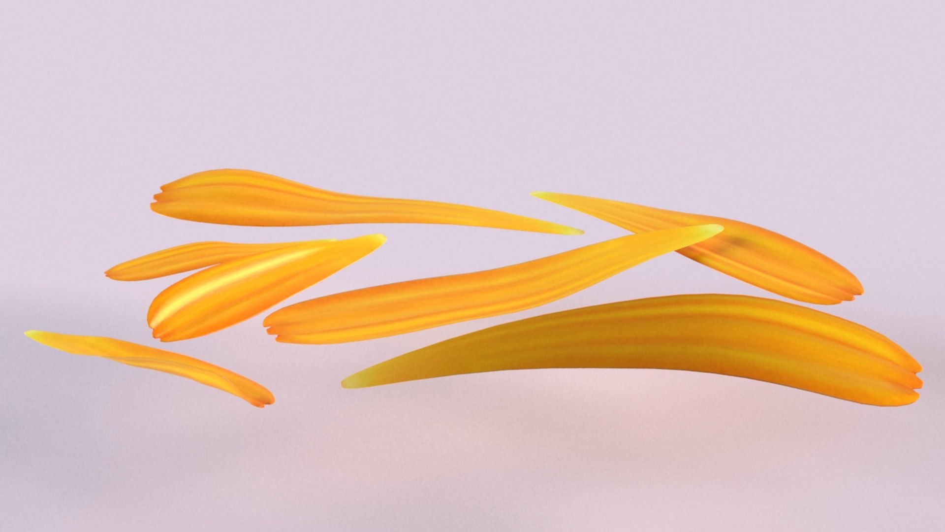 calendula petals flower plant model https://p.turbosquid.com/ts-thumb/TP/QXYJ7b/5DEeDA5G/3/jpg/1599130955/1920x1080/fit_q87/f9f060b4c327bf392a2cfdb1adde617fa519d694/3.jpg