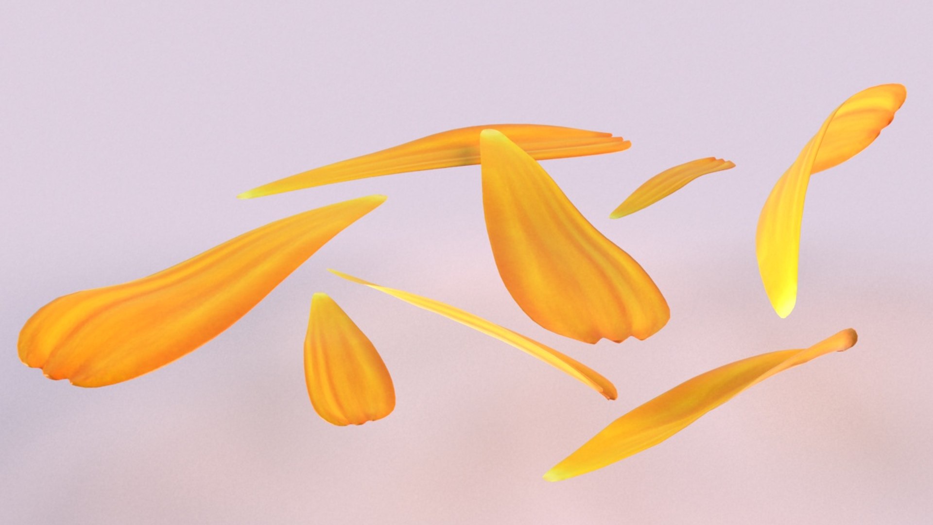 calendula petals flower plant model https://p.turbosquid.com/ts-thumb/TP/QXYJ7b/tdqPX1S2/2/jpg/1599130955/1920x1080/fit_q87/981b2082af770a2d05f6eb4063477b7af4a0eb88/2.jpg
