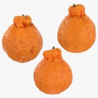 Dekopon Orange Collection