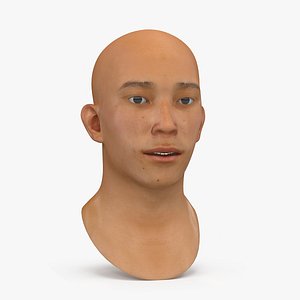 Asian Male Head Rigged
