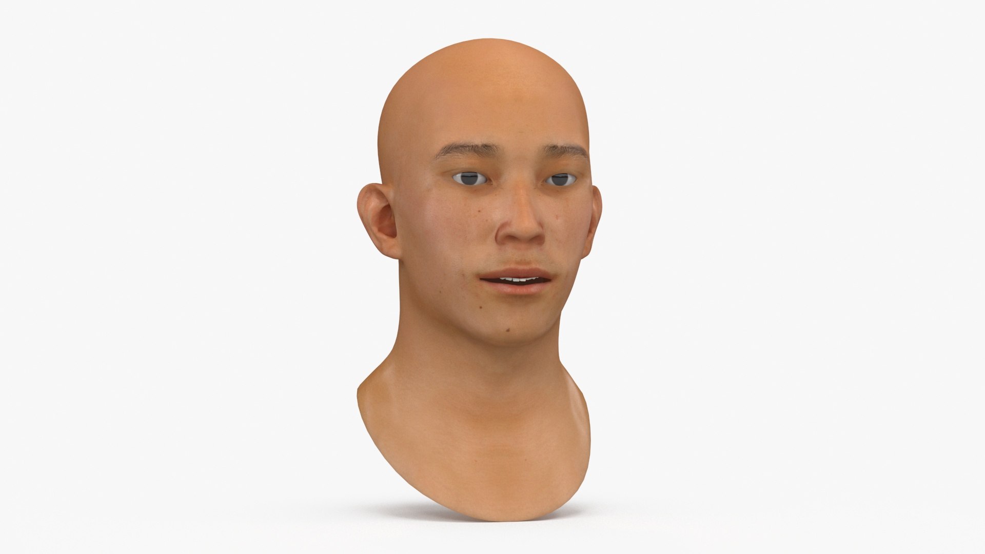 Asian Male Head Rigged 3D model preview