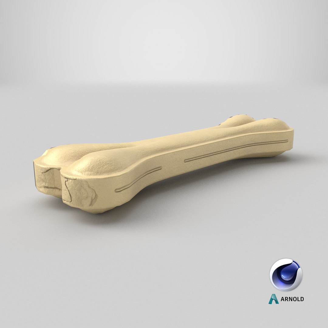 Dog Chew Bone Small Light 3D https://p.turbosquid.com/ts-thumb/TP/ml2rIH/LZ/stemcell_cinema_4d_arnold_render/png/1715246564/1920x1080/fit_q87/6d809221900440fb212c4cefe9dffa1a9e5922c6/stemcell_cinema_4d_arnold_render.jpg