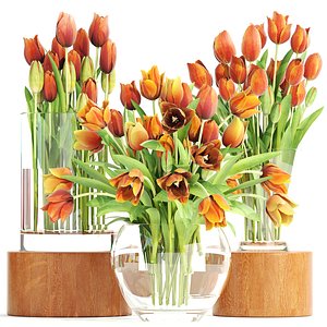 bouquet tulips set 3D