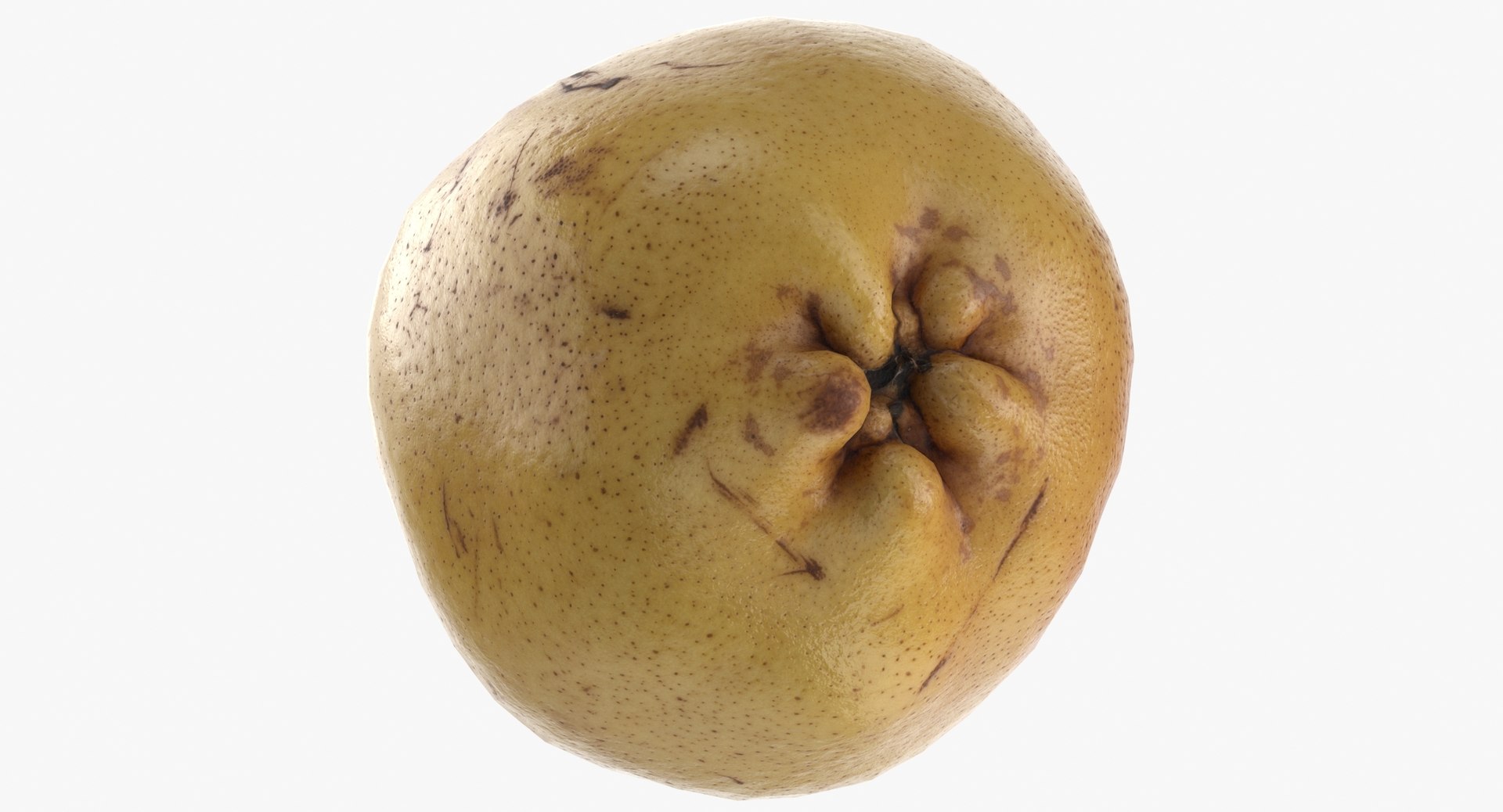 Fruits Game Ready Collection 02 - 8 models 3D model https://p.turbosquid.com/ts-thumb/TP/rqt4g0/Eh/comice_pear_01_game_ready_thumbnail0008.jpga9e49cc1606d4c2e84efb2a5b1cf4cebzoom/jpg/1637828146/1920x1080/fit_q87/d83d935408709eba82a9bb380d561242b08d26d9/comice_pear_01_game_ready_thumbnail0008.jpga9e49cc1606d4c2e84efb2a5b1cf4cebzoom.jpg
