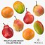 Fruits Game Ready Collection 02 - 8 models
